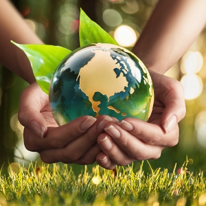 Môi Trường & Chất Lượng